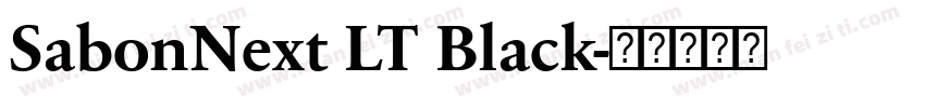 SabonNext LT Black字体转换